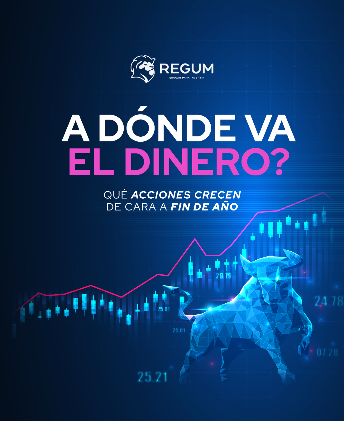 A dónde va el dinero? REGUM