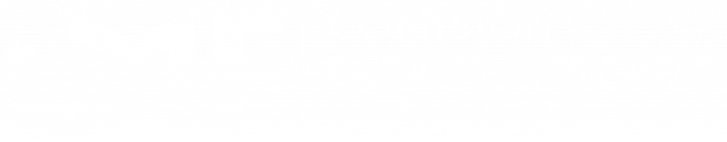 Comisión Para el Mercado Financiero