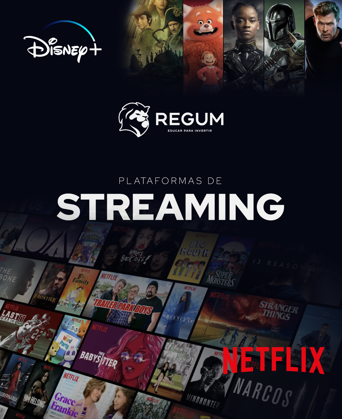 Informe Plataformas de Streaming - Junio 2023