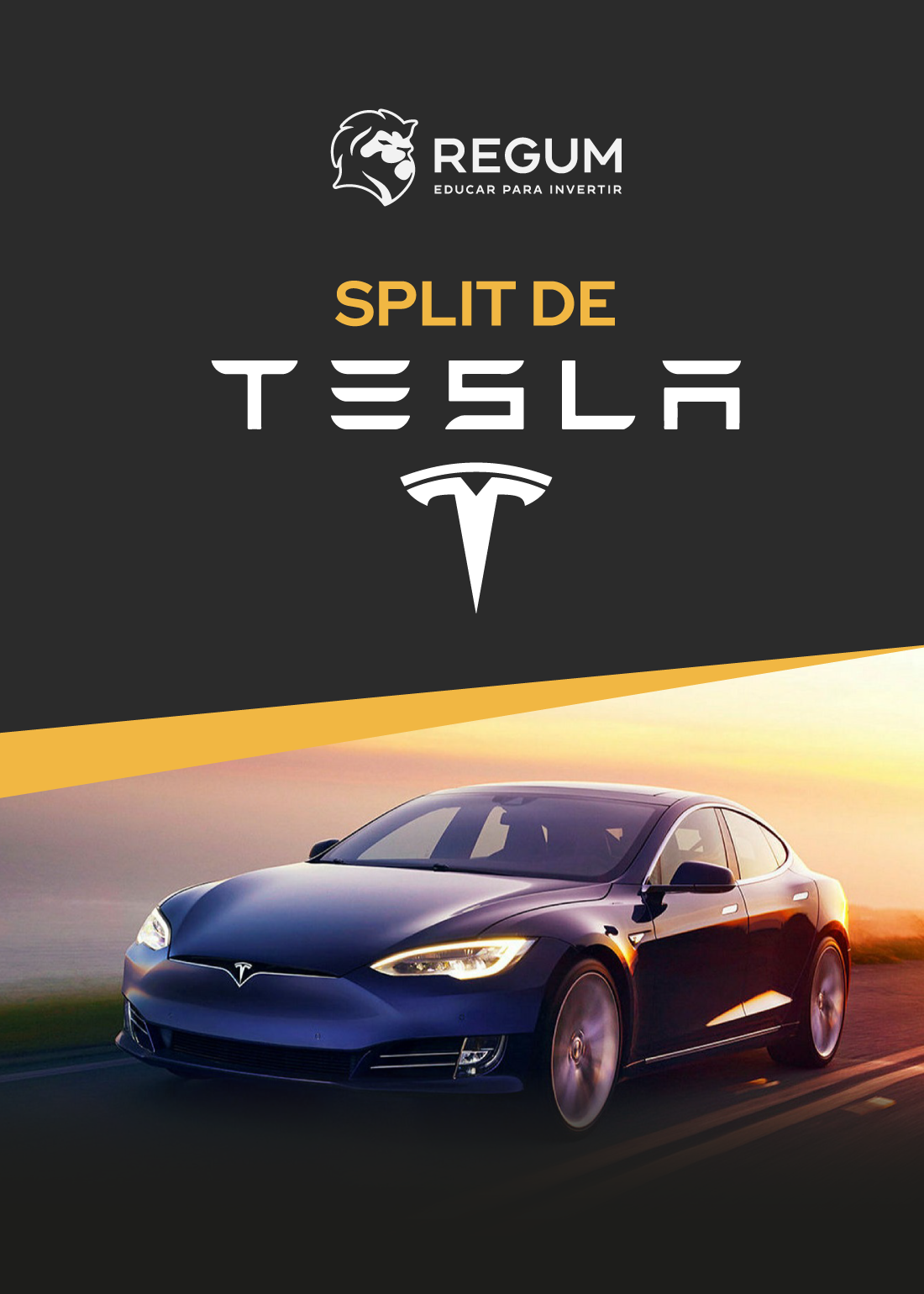 Split de TESLA