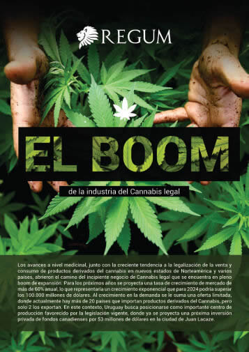 Reporte Cannabis Noviembre 2018