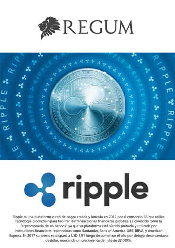 Reporte Ripple Enero 2018