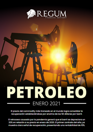 Petróleo informe mensual enero